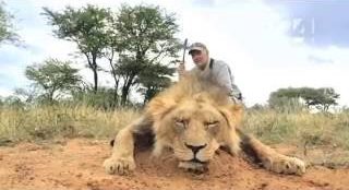 15.000 Euro per uccidere un leone