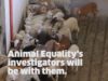 Investigators. Showing the world the truth