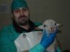 Lamb slaughterhouse | Animal Equality Investigation