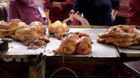 Matanza de pollos en mercados // Slaughter of chickens in markets // México, 2015