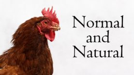 Normal and Natural