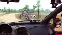 Safari Ravenna – Animali in cattività per business