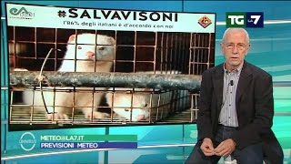 #Salvavisoni al Meteo di La7