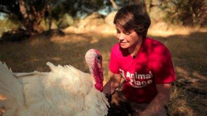 Sponsor a Turkey – Don’t Eat One!