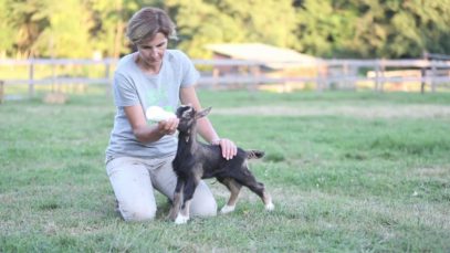 Una festa per incontrare gli animali