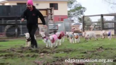 Who is having more fun?!!?