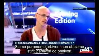 Attivista Vegan DISTRUGGE una reporter ignorante