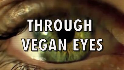 Attraverso Occhi Vegan