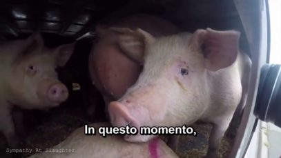 Il Giorno della Vostra Esecuzione