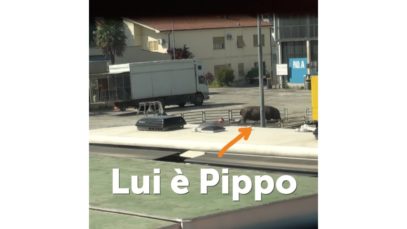 Lui è Pippo lavora al circo e vive in un parcheggio