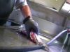 Skinned Alive – Cruel Catfish Slaughter Exposed