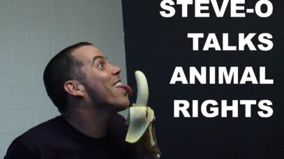 Steve-O spiega perché è Vegan