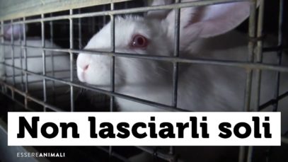 Storie invisibili che spezzano il cuore