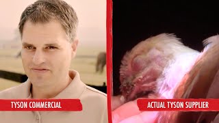 The Truth About Tyson Foods