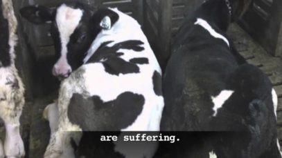 This is Simon. Will you help him?