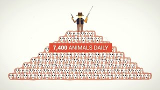 Why Wildlife Services Is Killing Thousands of Animals