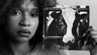 Women Explain What Rape Feels Like for Animals in the Food Industry