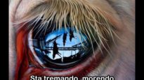 xTrue Naturex – The Middle Passage [Sub Ita]