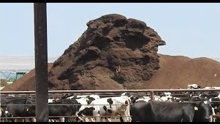 You Won’t Believe What Happens When A Factory Farm Moves In Next Door