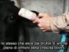 10 FATTI Che Potrebbero Farti Diventare Vegan
