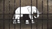 Animal Captivity Is Slavery