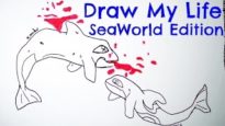 Draw My Life: SeaWorld Edition