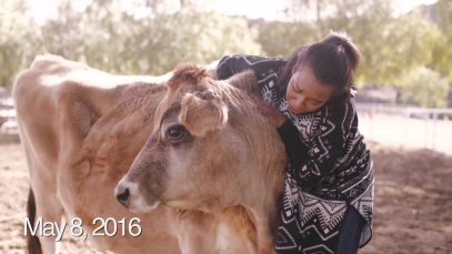 Most Inspiring Second-a-Day Video: The Year of Vegan