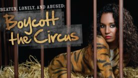 TLC’s Chilli Fights Circus Cruelty