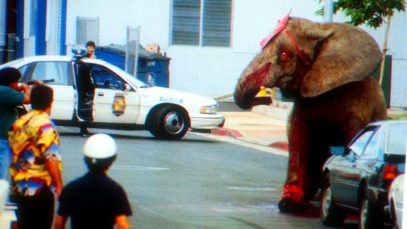 Tyke the Elephant’s Last Day on Earth