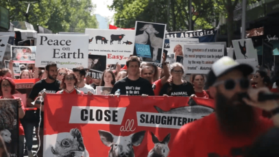 ARIWA – Animal Rights Watch e.V. – March To Close All Slaughterhouses – Melbourne 2017 [-yPRh1YbjAA – 1280×720 – 0m49s]