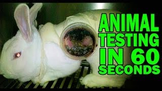 Animal Testing in 60 Seconds Flat