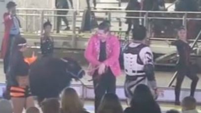 Calf Pulled by Nose Ring During Garden Bros. Circus Performance