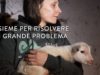 Insieme per risolvere un grande problema – Essere Animali
