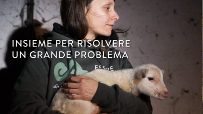 Insieme per risolvere un grande problema – Essere Animali