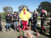 International Respect for Chickens Day