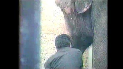 Boycott Torture in America