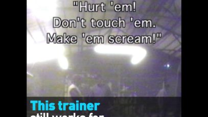 Carson & Barnes Circus Trainer Violently Strikes Elephants