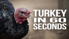 Turkey in 60 Seconds