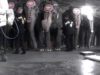 Elephants in Circuses: Training & Tragedy