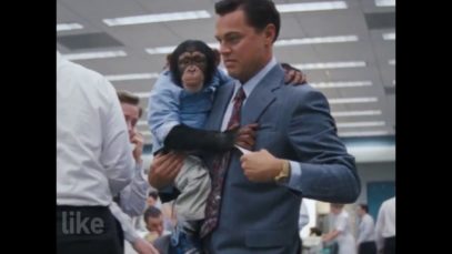 Chimpanzee Used in ‘Wolf of Wall Street’ Perform Ridiculous Stunts for Cheap Laughs