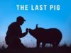 THE LAST PIG | Trailer