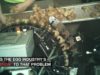 This Is How Factory Farms Debeak Baby Chicks