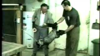 Fur Fraud Investigation