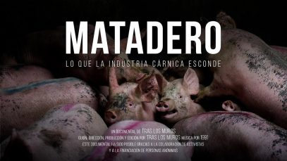 Matadero. Lo que la industria cárnica esconde. // Documental.