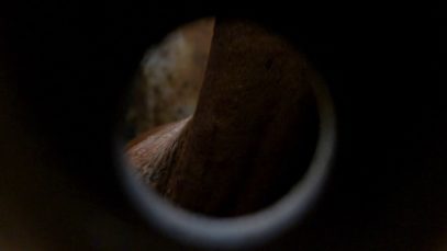Matadero. Lo que la industria cárnica esconde. // Tráiler del documental.