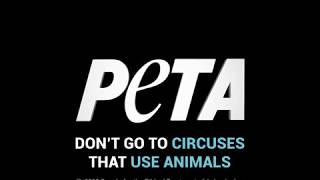 This Is Animal Abuse, Not Entertainment