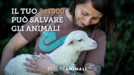 Il tuo 5×1000 può salvare gli animali