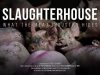 Slaughterhouse. What the meat industry hides. // Documentary film.