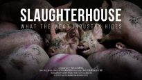 Slaughterhouse. What the meat industry hides. // Documentary film.