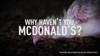 DISTURBING: Chickens Suffer for McDonald’s Menu